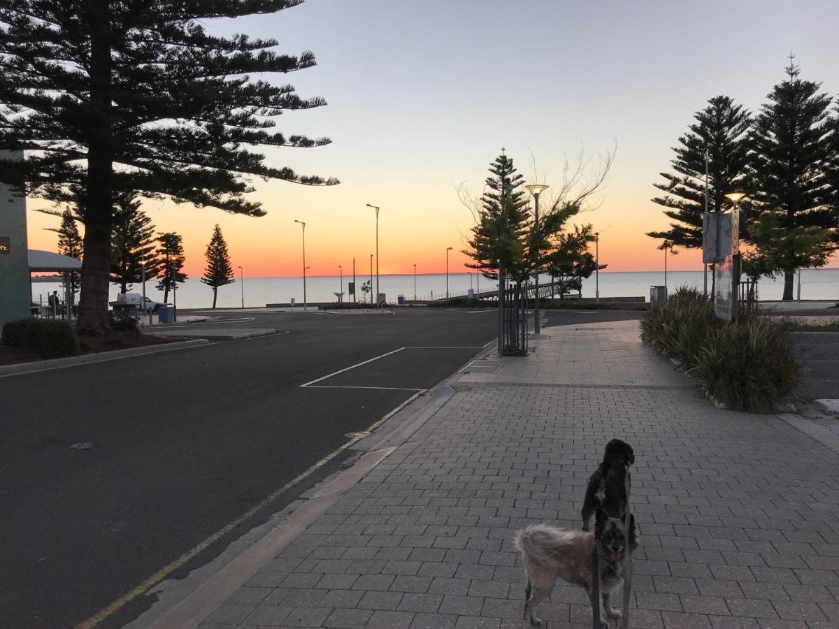 Big4 Ceduna Tourist Park エクステリア 写真